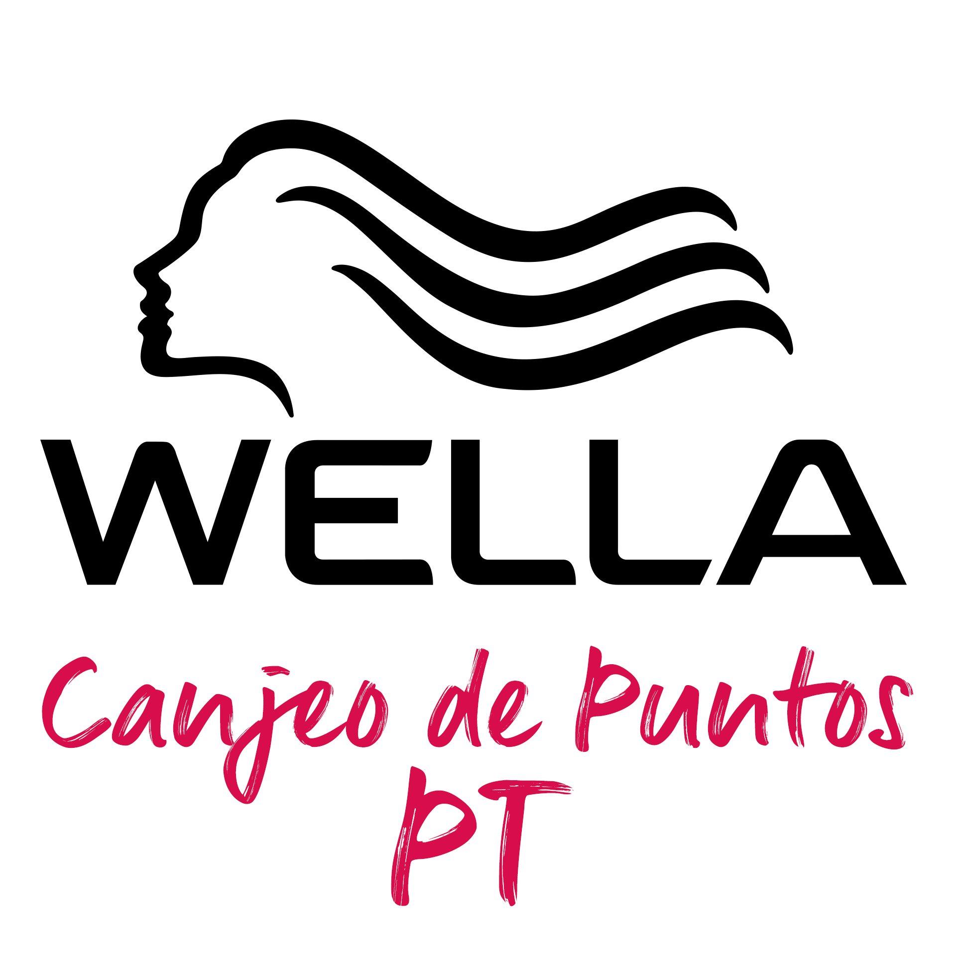 PUNTOS PT_icono app_wella club iberia_2021
