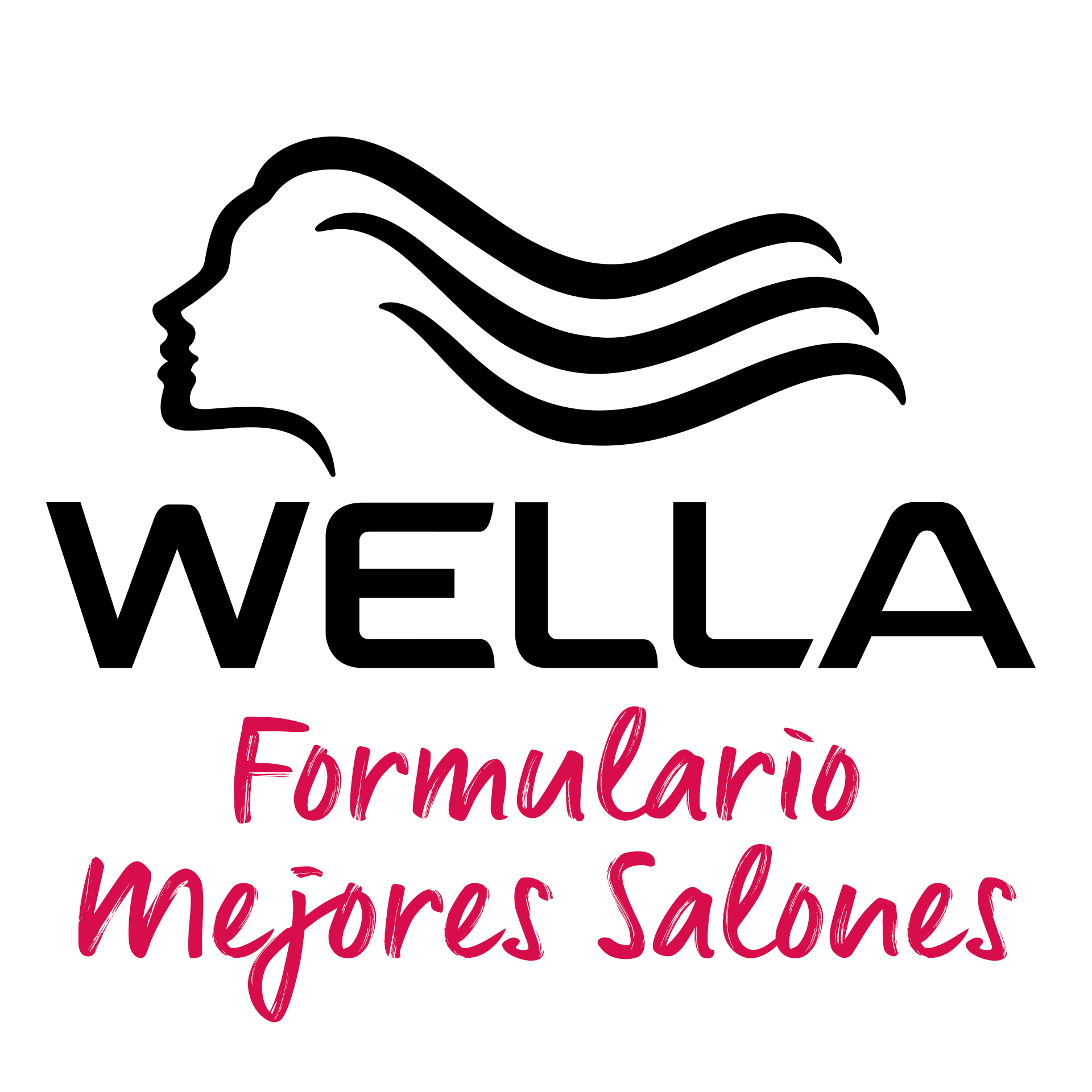 icono_formulario_mejores_salones_wella_login